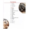 PDF Crochet a Zoo - En Anglais