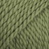 DROPS ANDES 7820 Uni verde
