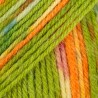 DROPS FABEL 151 print guacamole